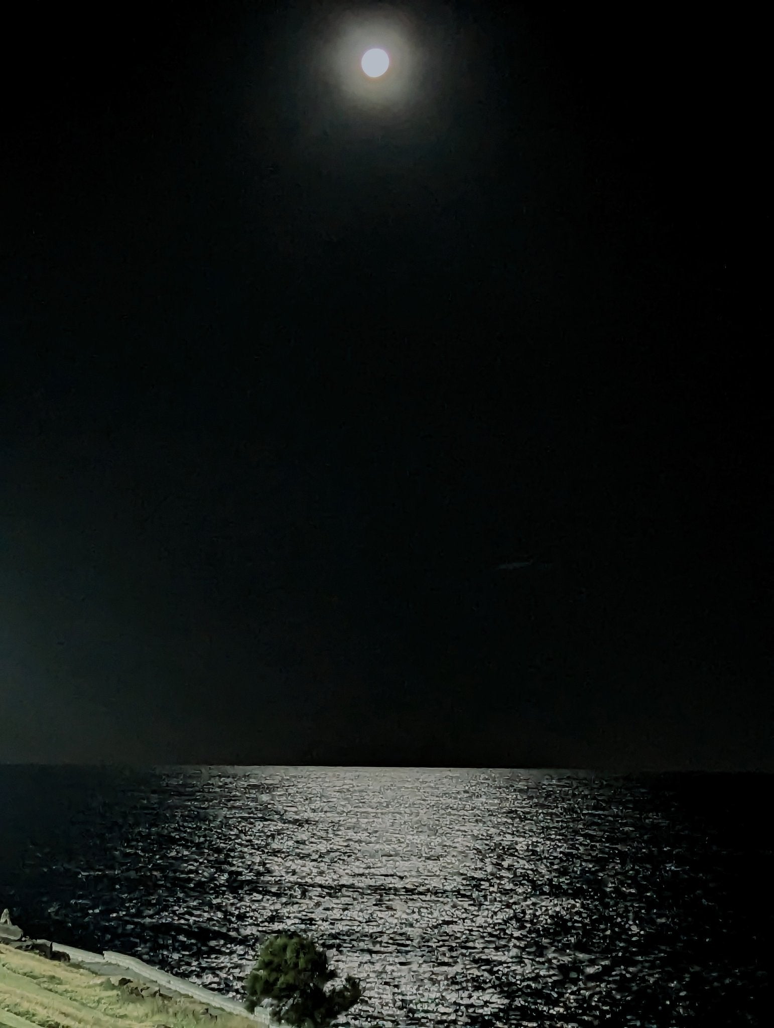 Image: Tomas Gimenez Rioja