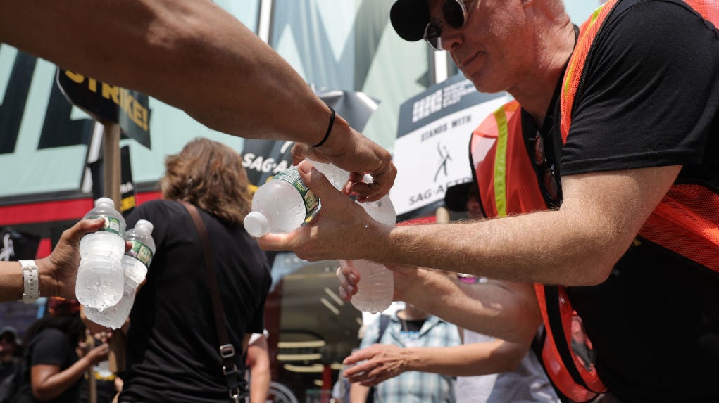 Photo: Michael Loccisano