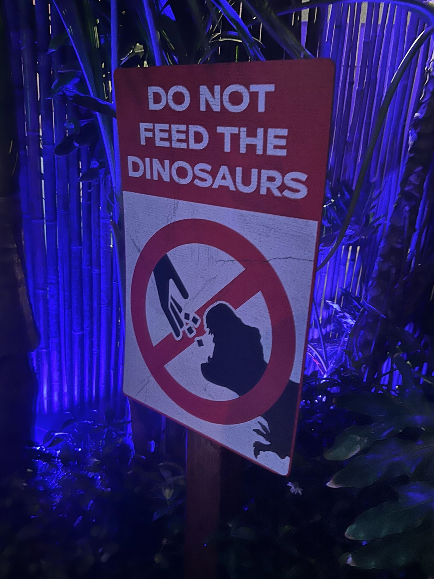 Photo: Sabina Graves/Gizmodo