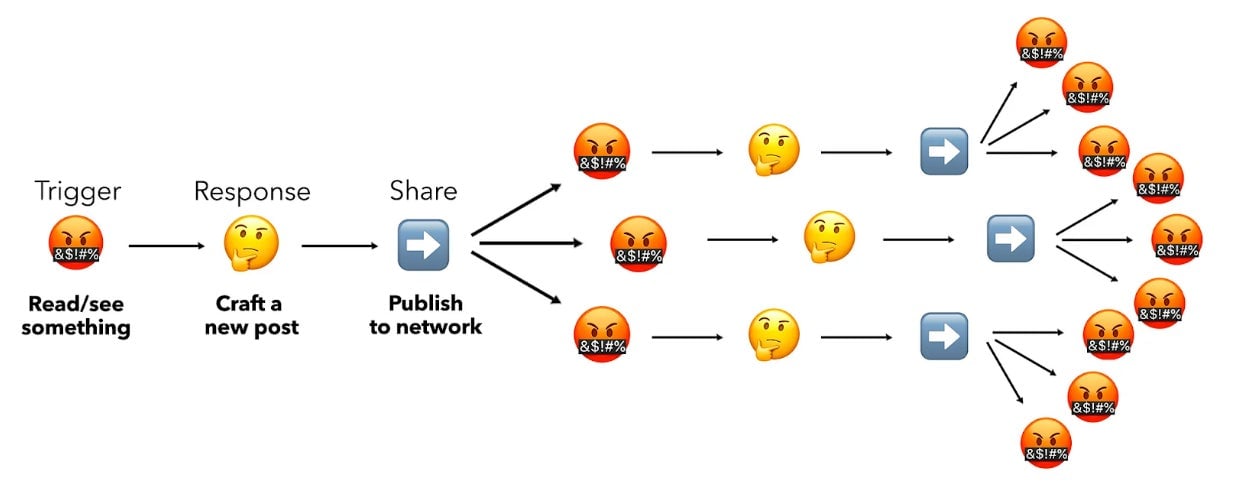 Illustration: Tobias Rose-Stockwell