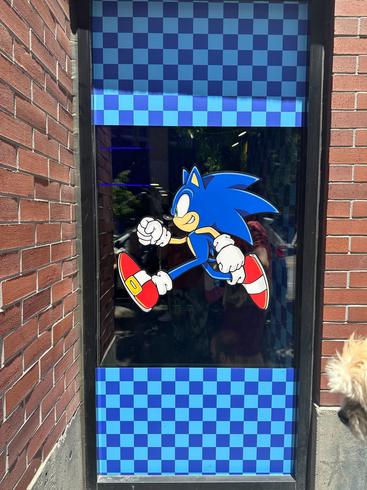 Photo: Sabina Graves/Gizmodo