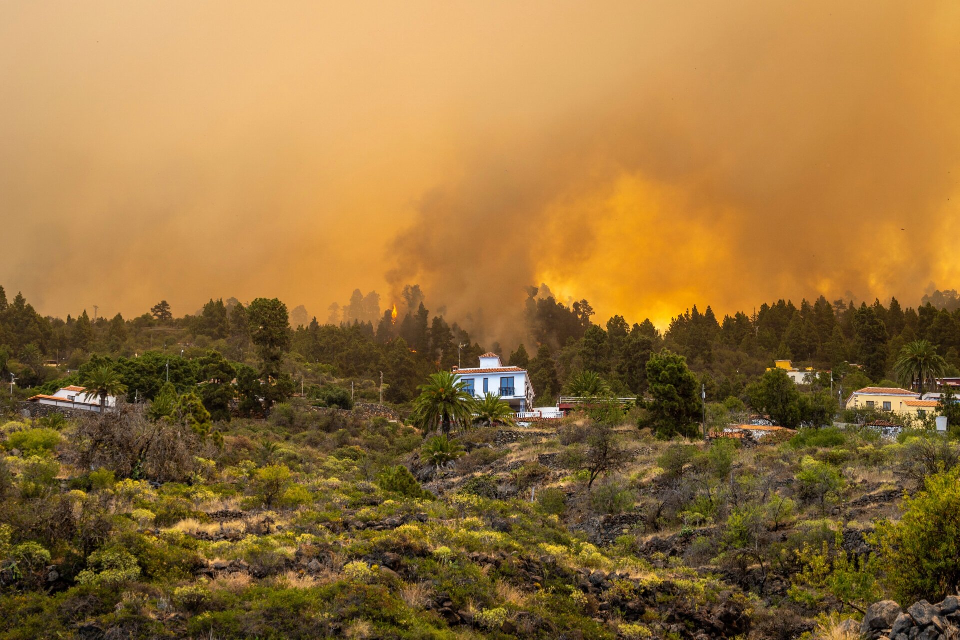 Burning forest fire close to homes, near Puntagorda on the Canary Island of La Palma, on July 15, 2023.
