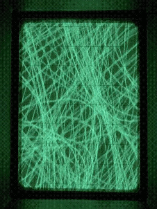 Gif: Kate the Cursed / Museum of the Moving Image