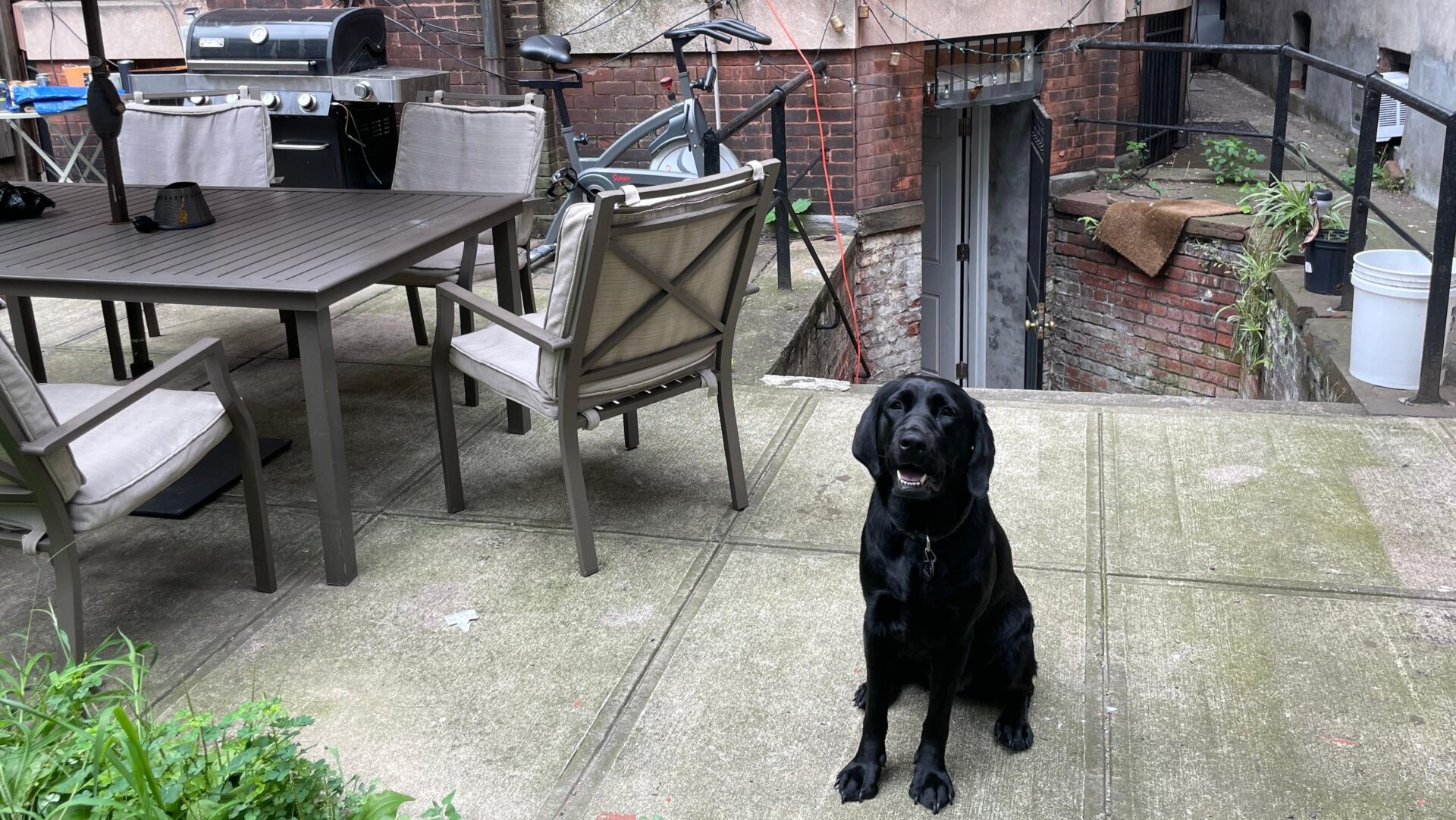 Photo: Mack DeGeurin