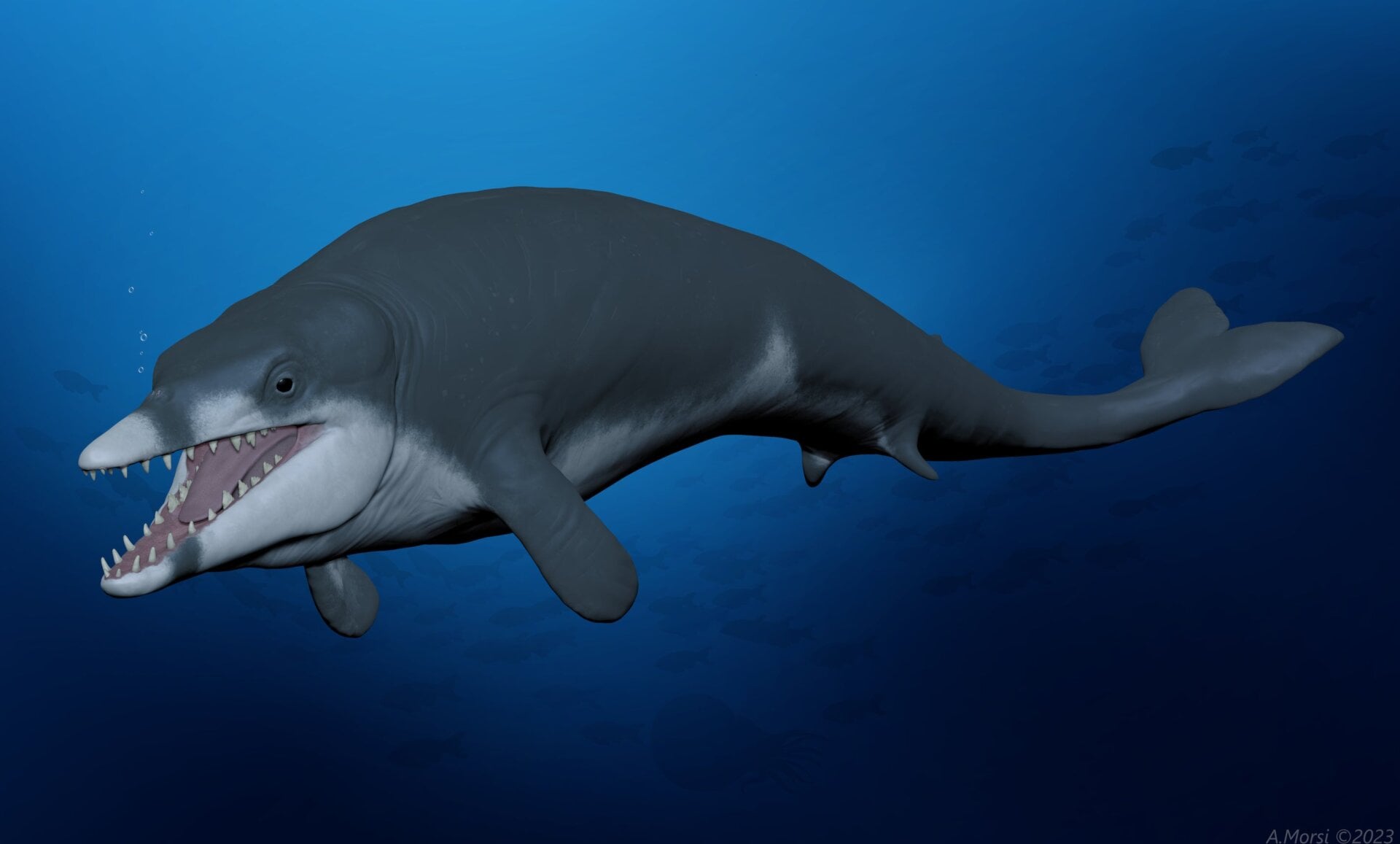 A life reconstruction of the small Eocene whale T. rayanensis.