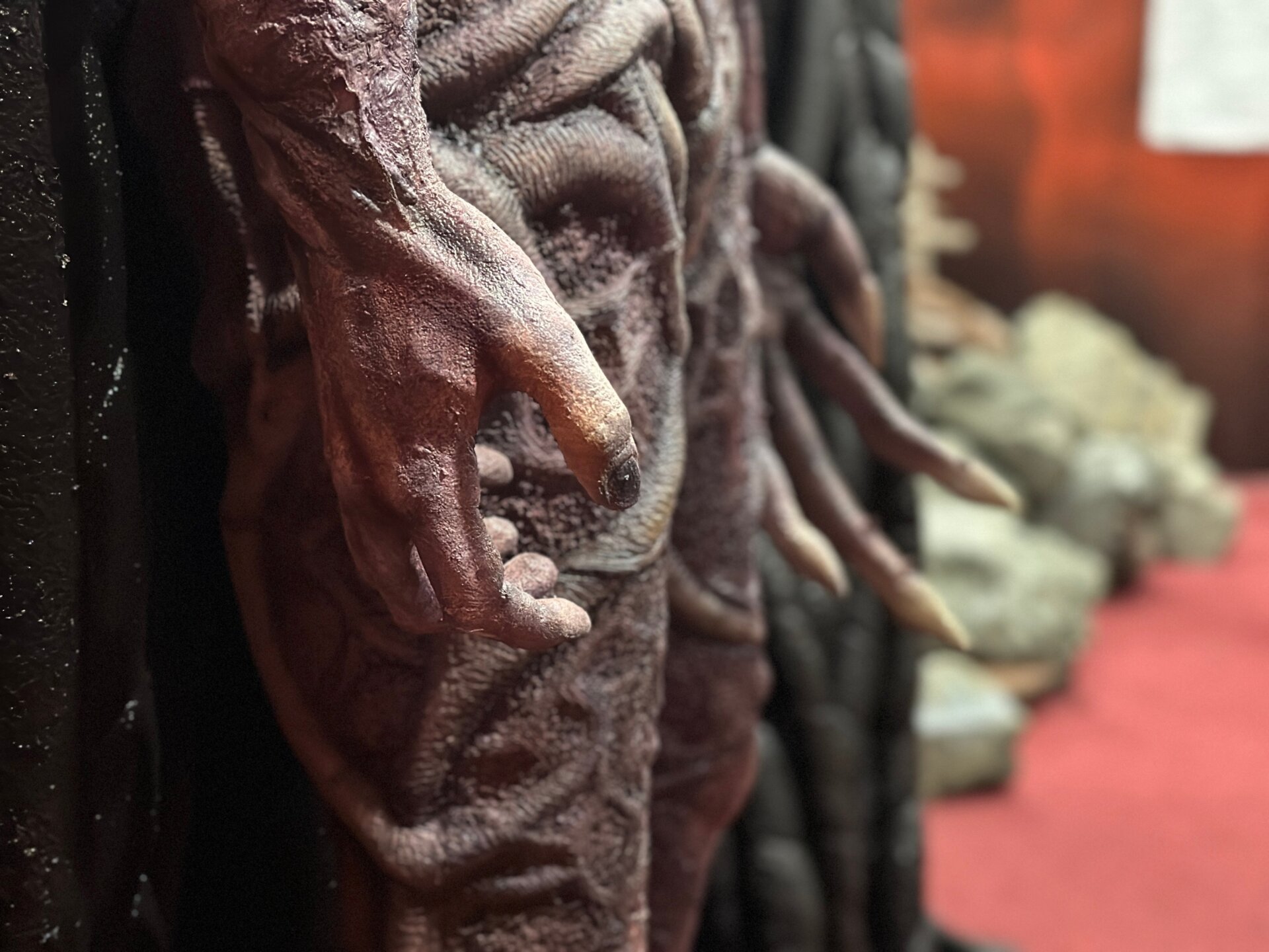 Photo: Sabina Graves/Gizmodo