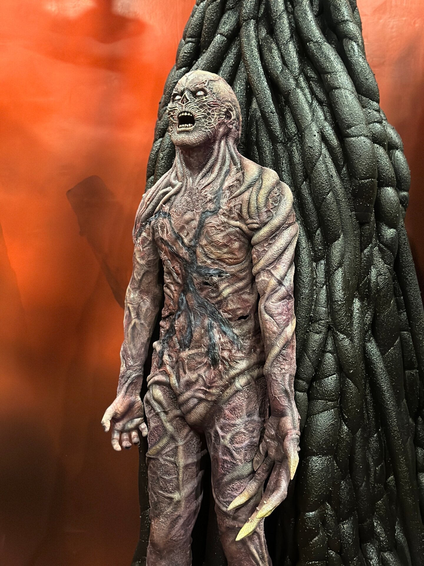 Photo: Sabina Graves/Gizmodo