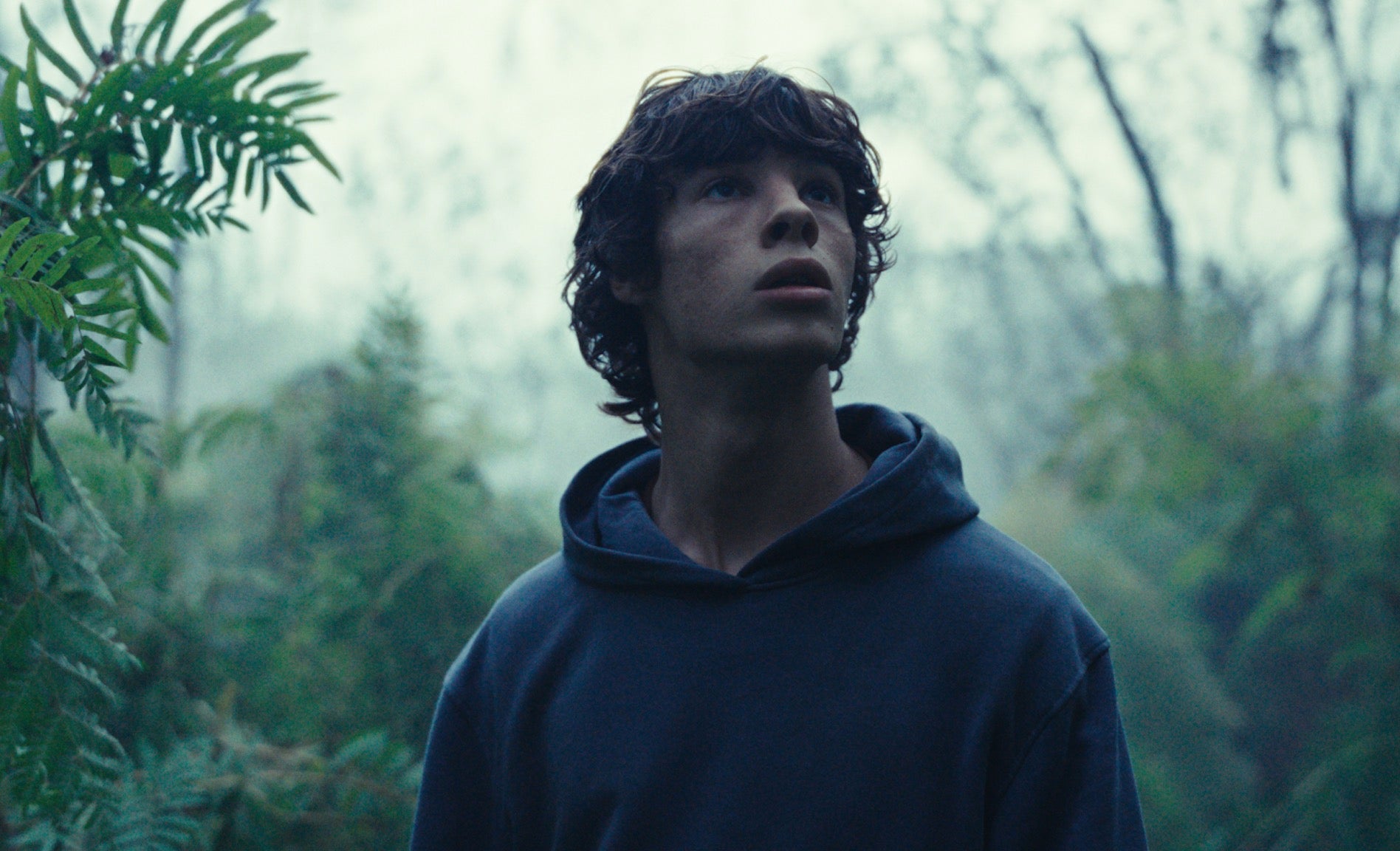 Image: Fantastic Fest