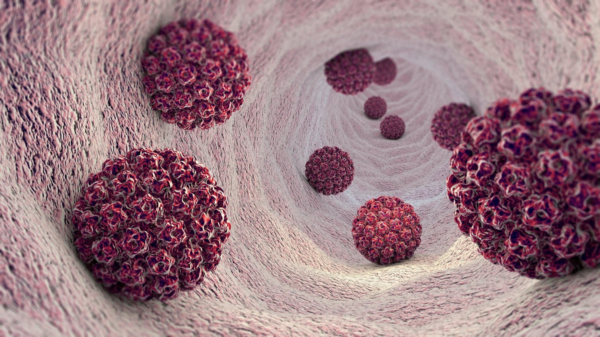 An illustration of the human papillomavirus, or HPV.