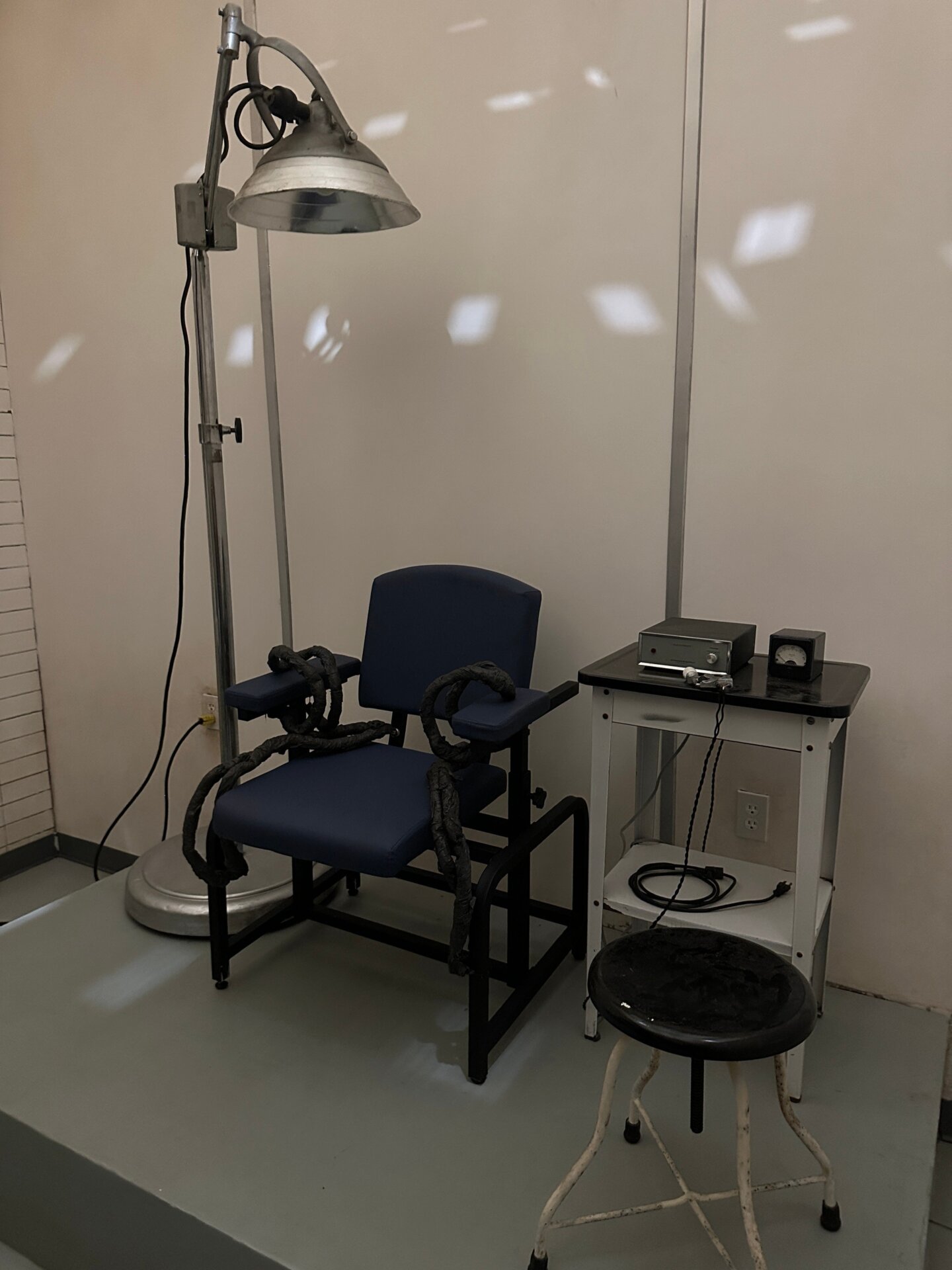 Photo: Sabina Graves/Gizmodo