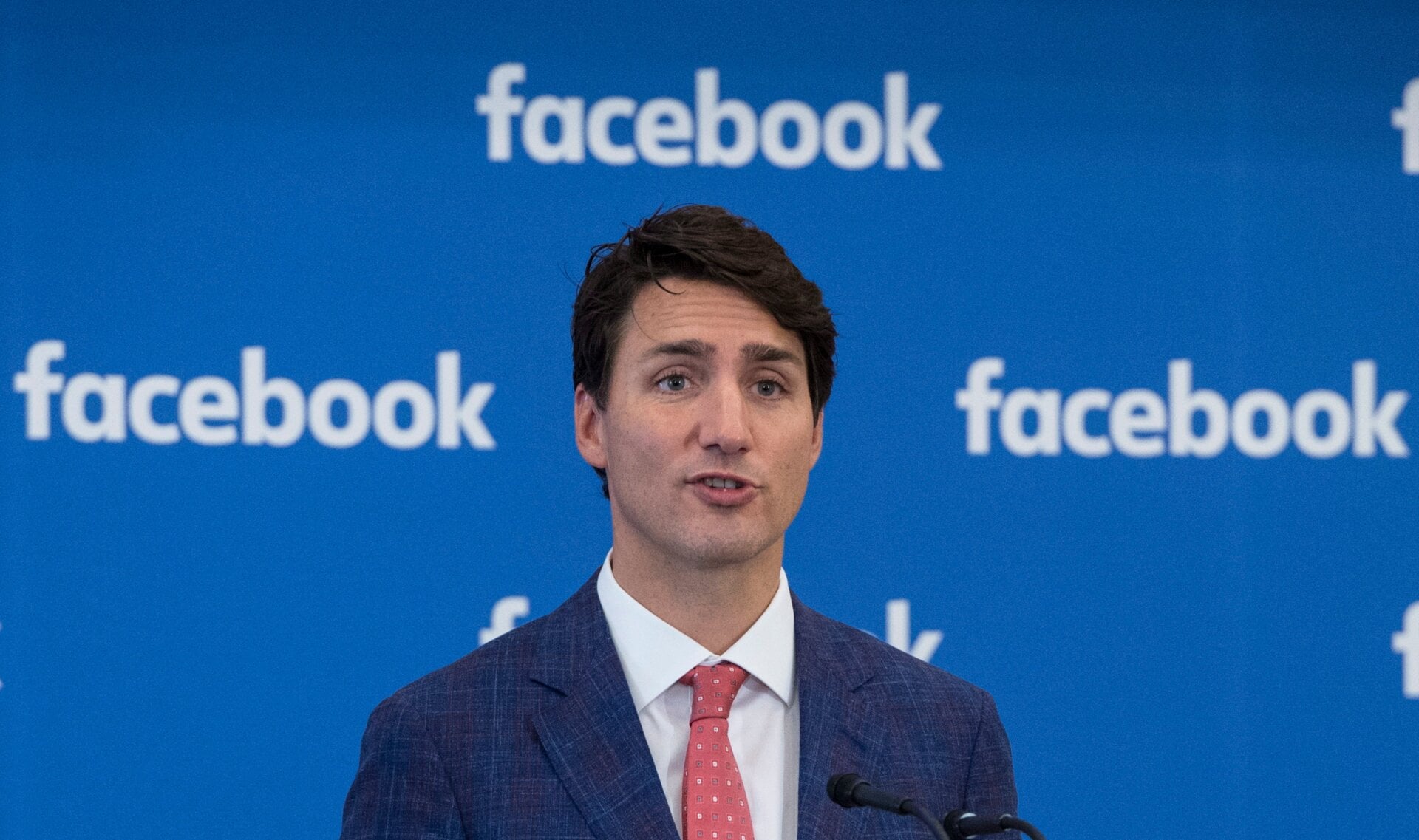 Photo: Paul Chiasson