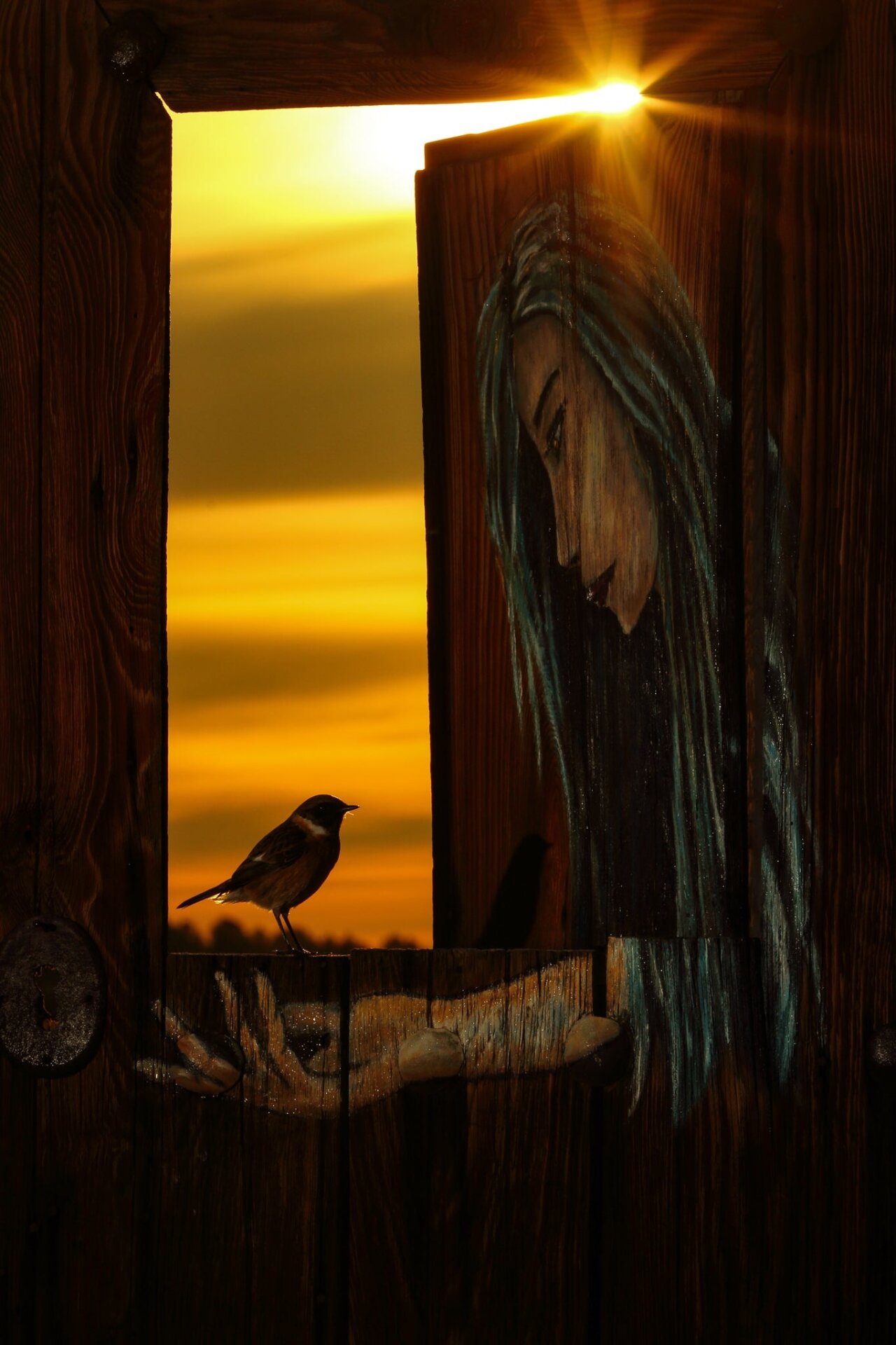 A European stonechat in a window of a farmhouse.