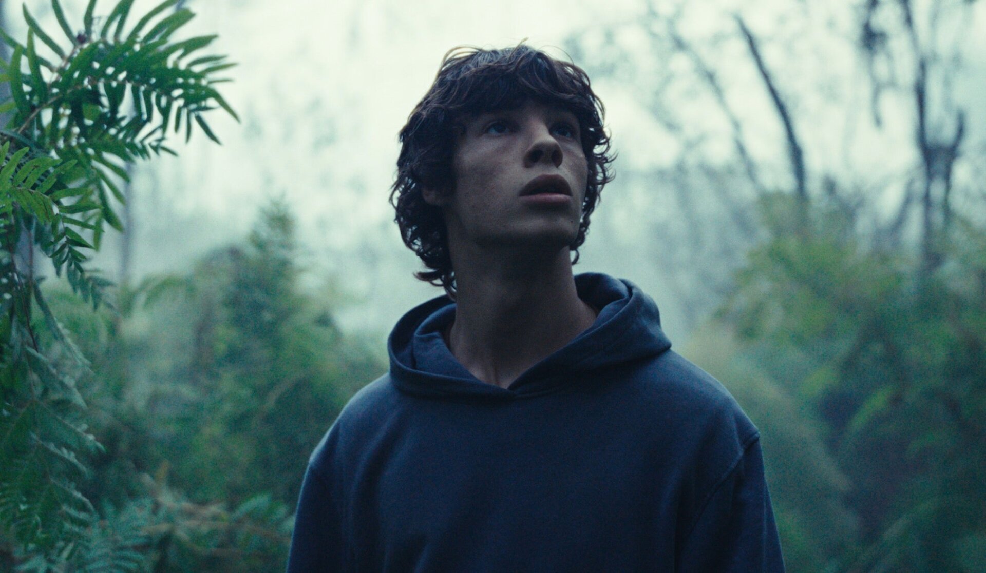 Image: Fantastic Fest