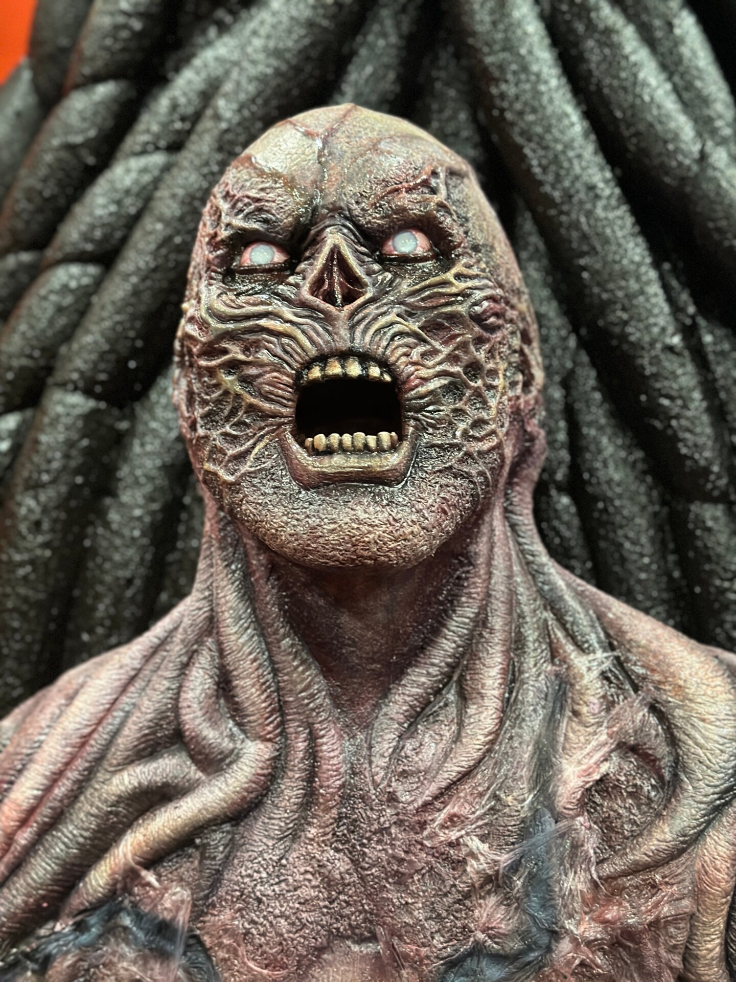 Photo: Sabina Graves/Gizmodo