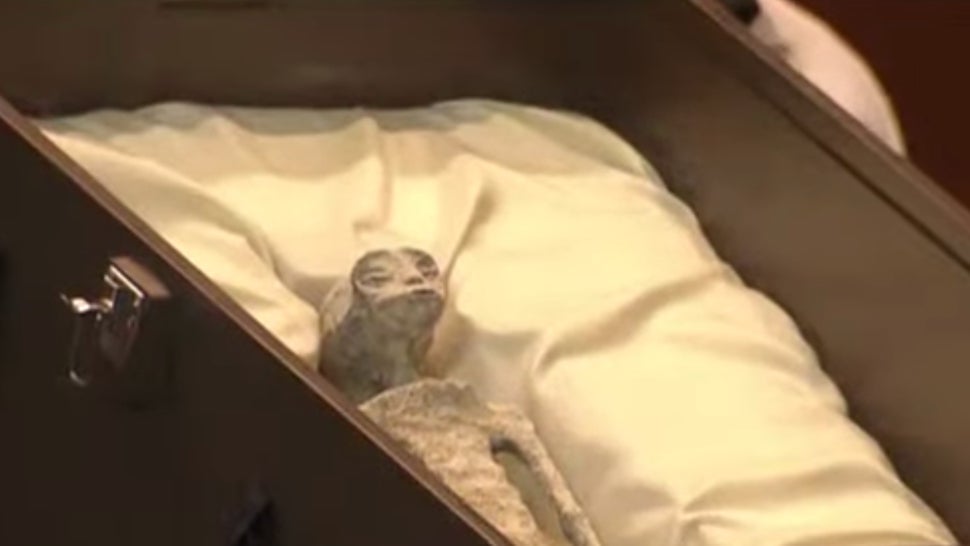 One of the alleged aliens shown to Mexico’s lawmakers.