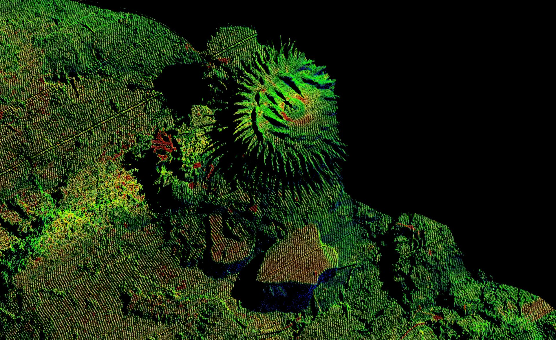 Lasers shine on a coral reef.