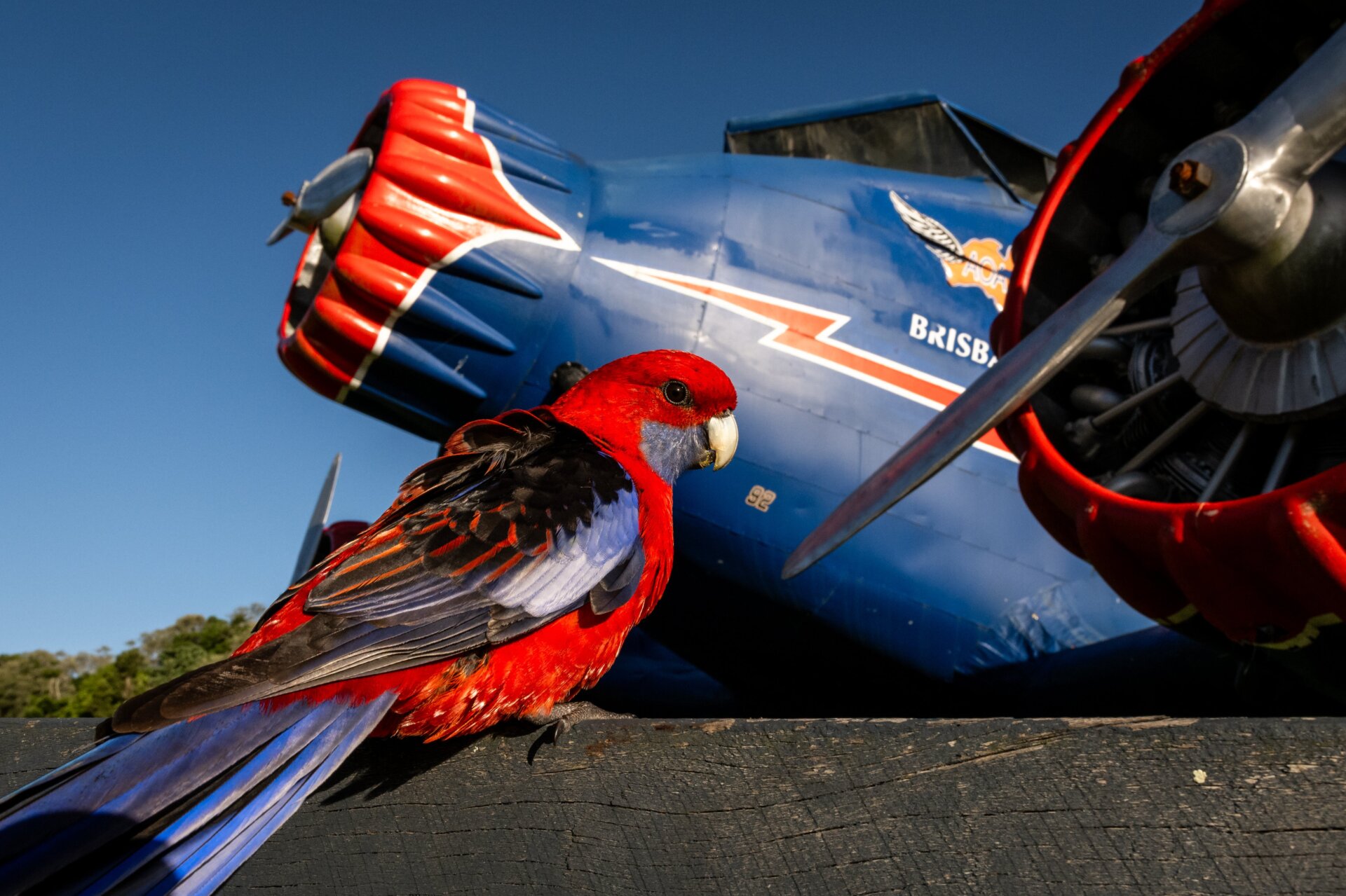 Photo: Alwin Hardenbol