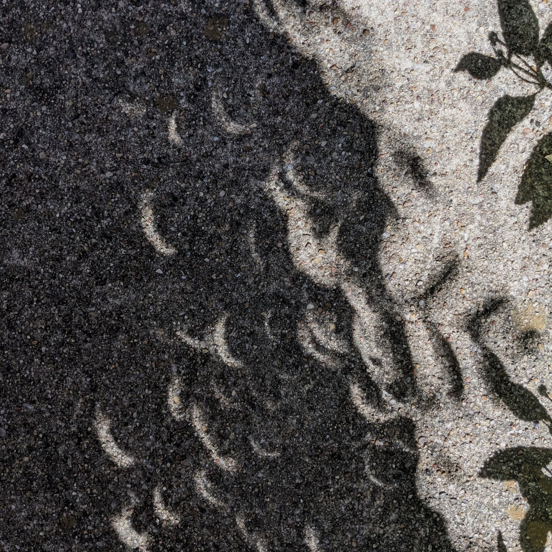 Photo: Steve Rainwater