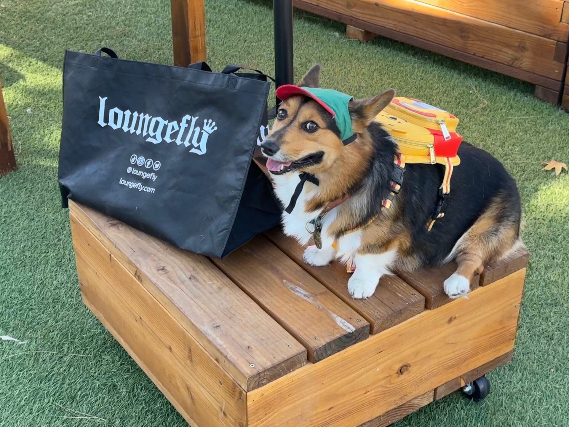 Photo: Sabina Graves/Gizmodo