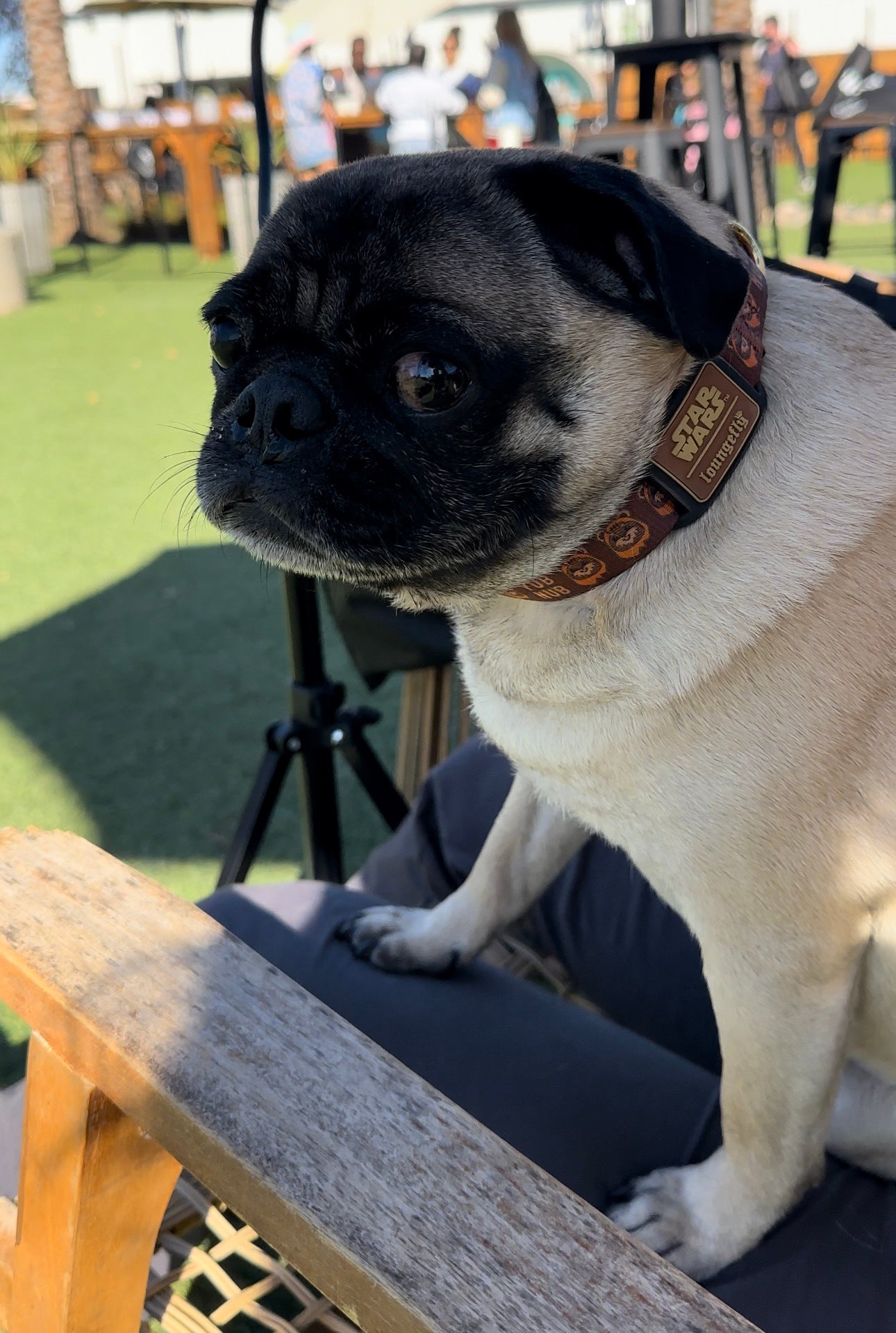 Photo: Sabina Graves/Gizmodo