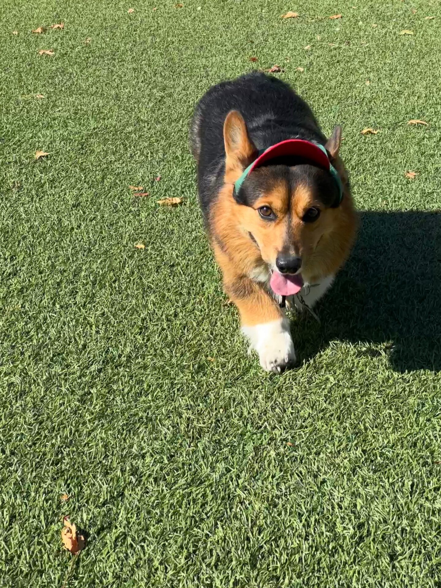 Photo: Sabina Graves/Gizmodo