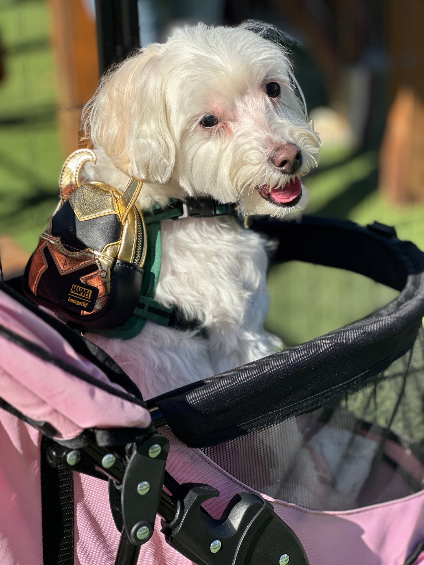 Photo: Sabina Graves/Gizmodo