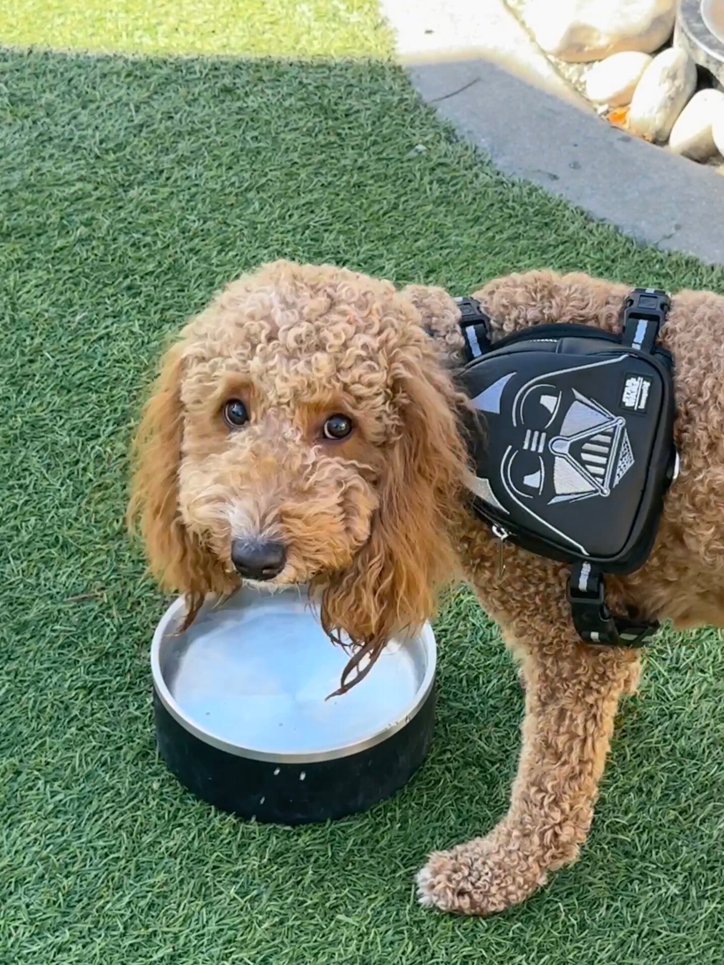 Photo: Sabina Graves/Gizmodo