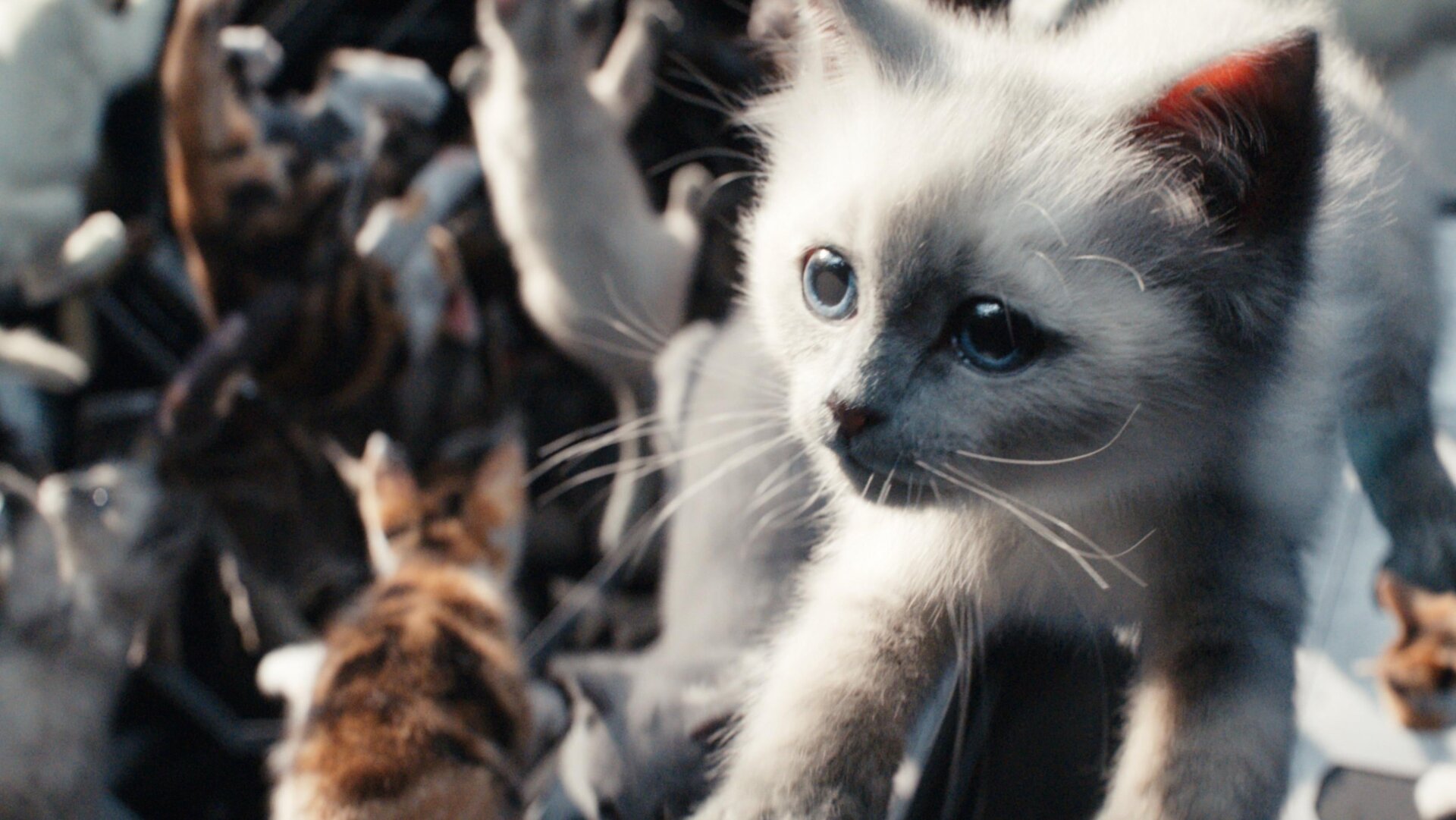 Image: Marvel Studios