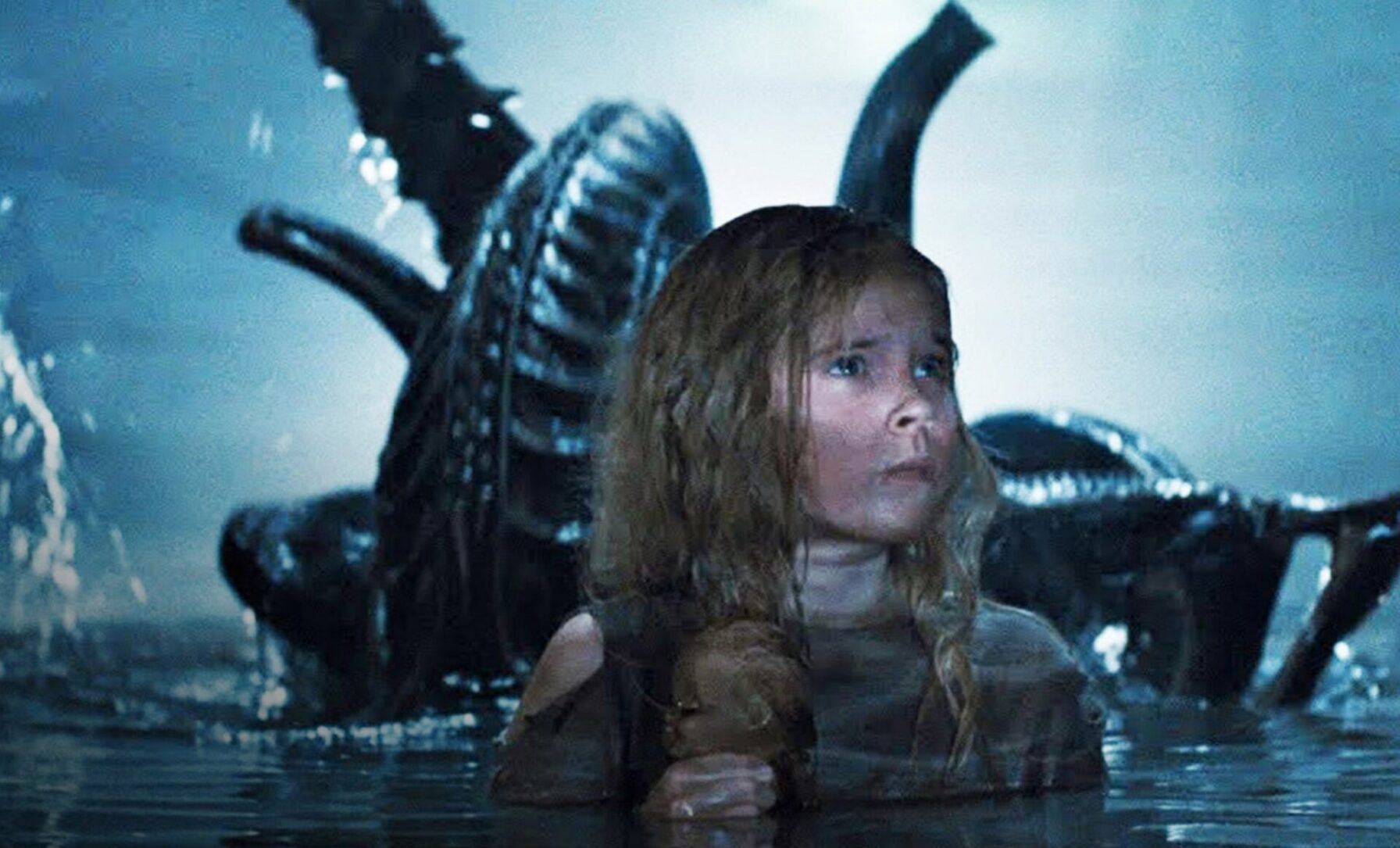 The Best New Movies and TV Streaming in November 2024, and Where to ...