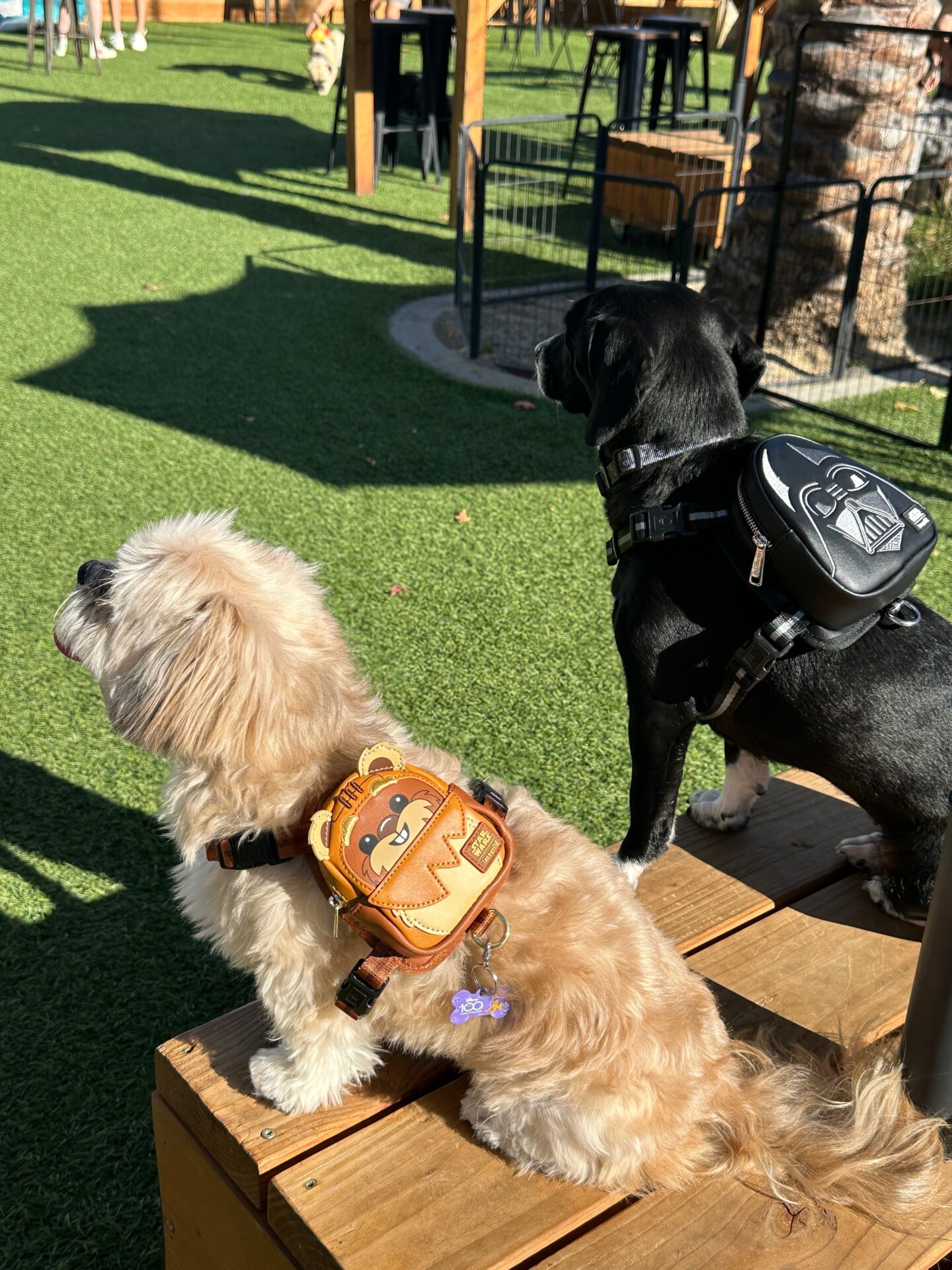 Photo: Sabina Graves/Gizmodo