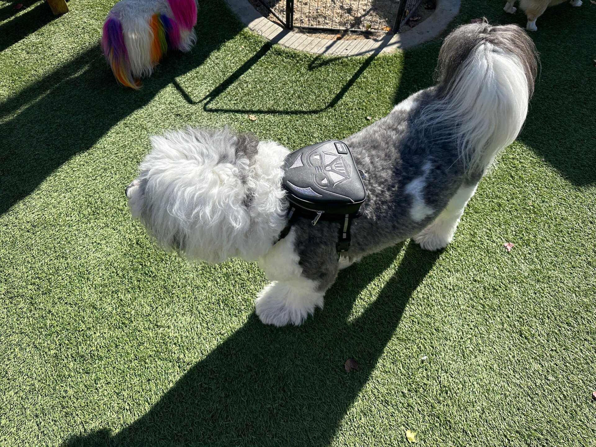 Photo: Sabina Graves/Gizmodo