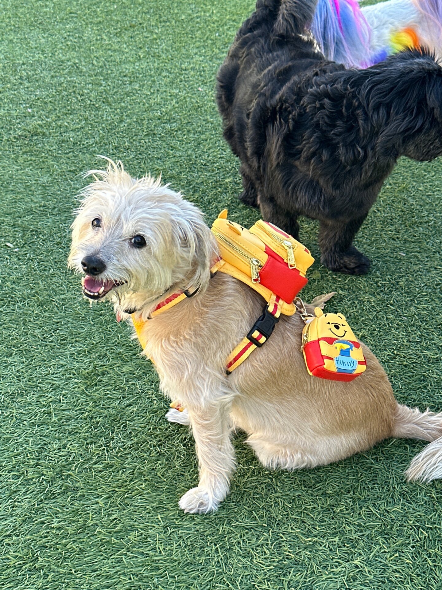 Photo: Sabina Graves/Gizmodo