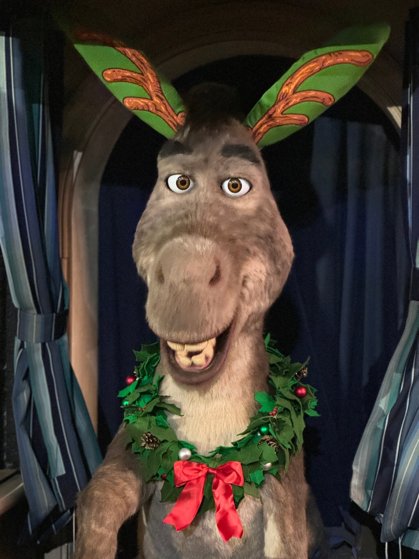 Photo: Sabina Graves/Gizmodo