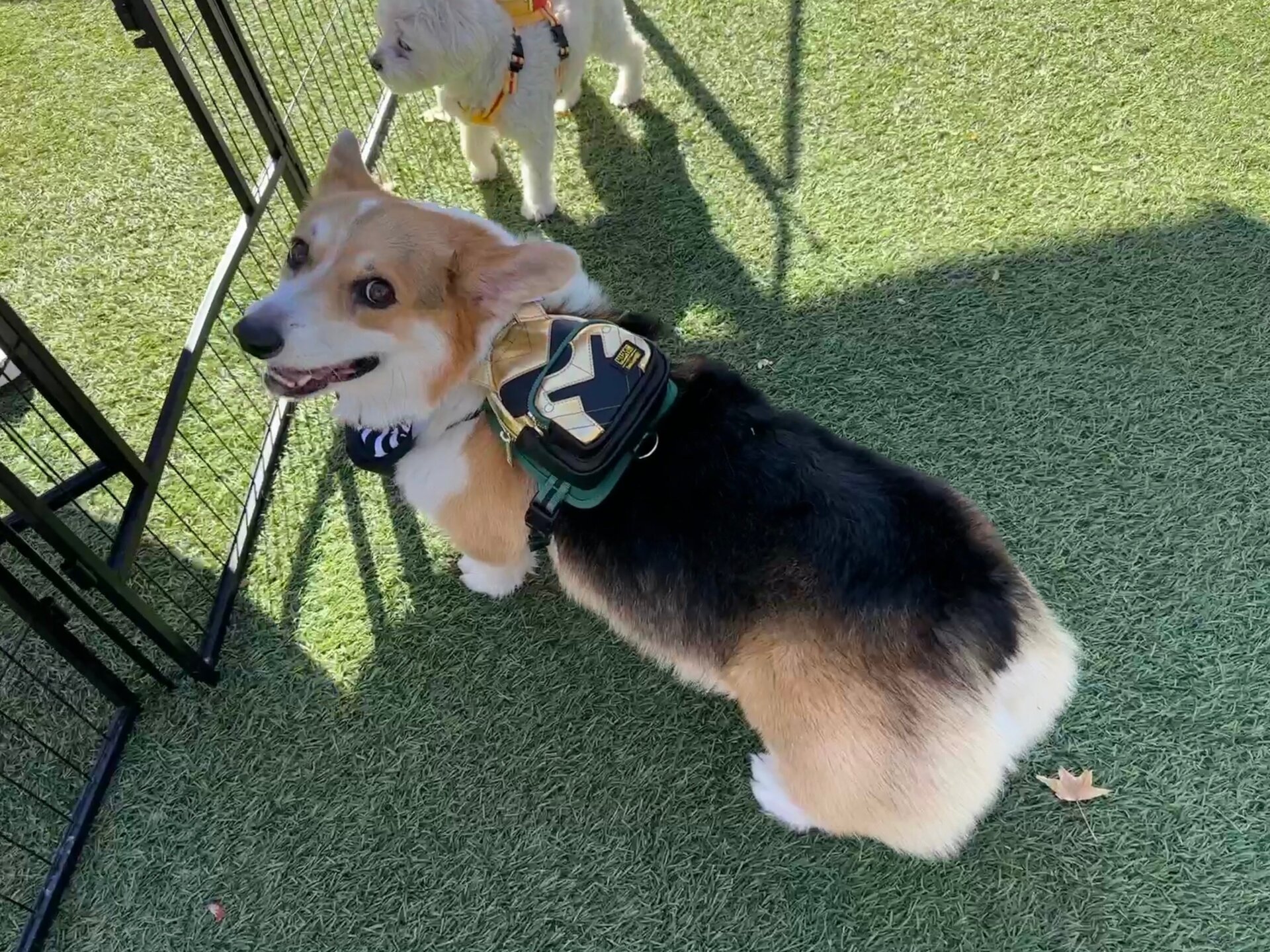 Photo: Sabina Graves/Gizmodo