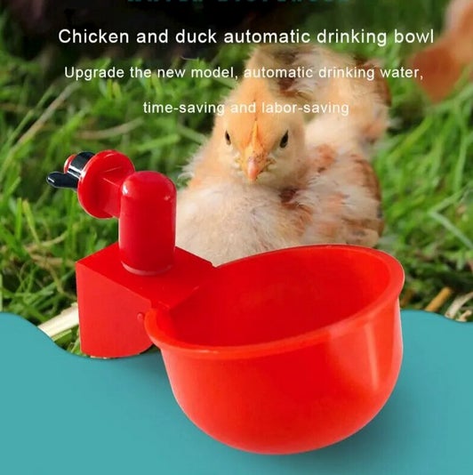 Screenshot: AliExpress