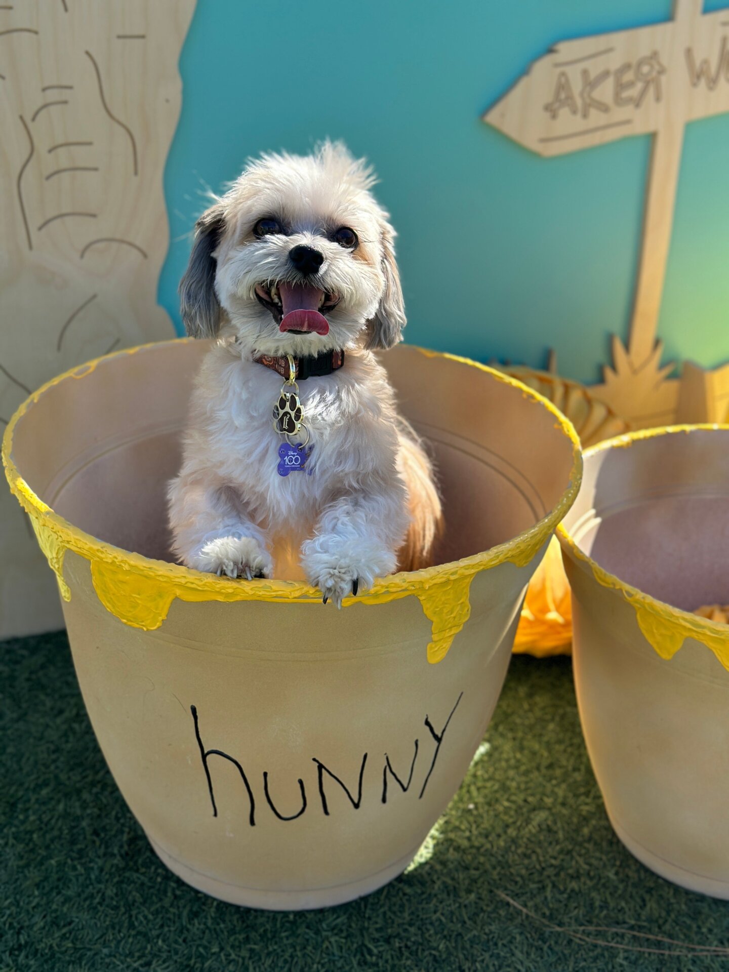 Photo: Sabina Graves/Gizmodo