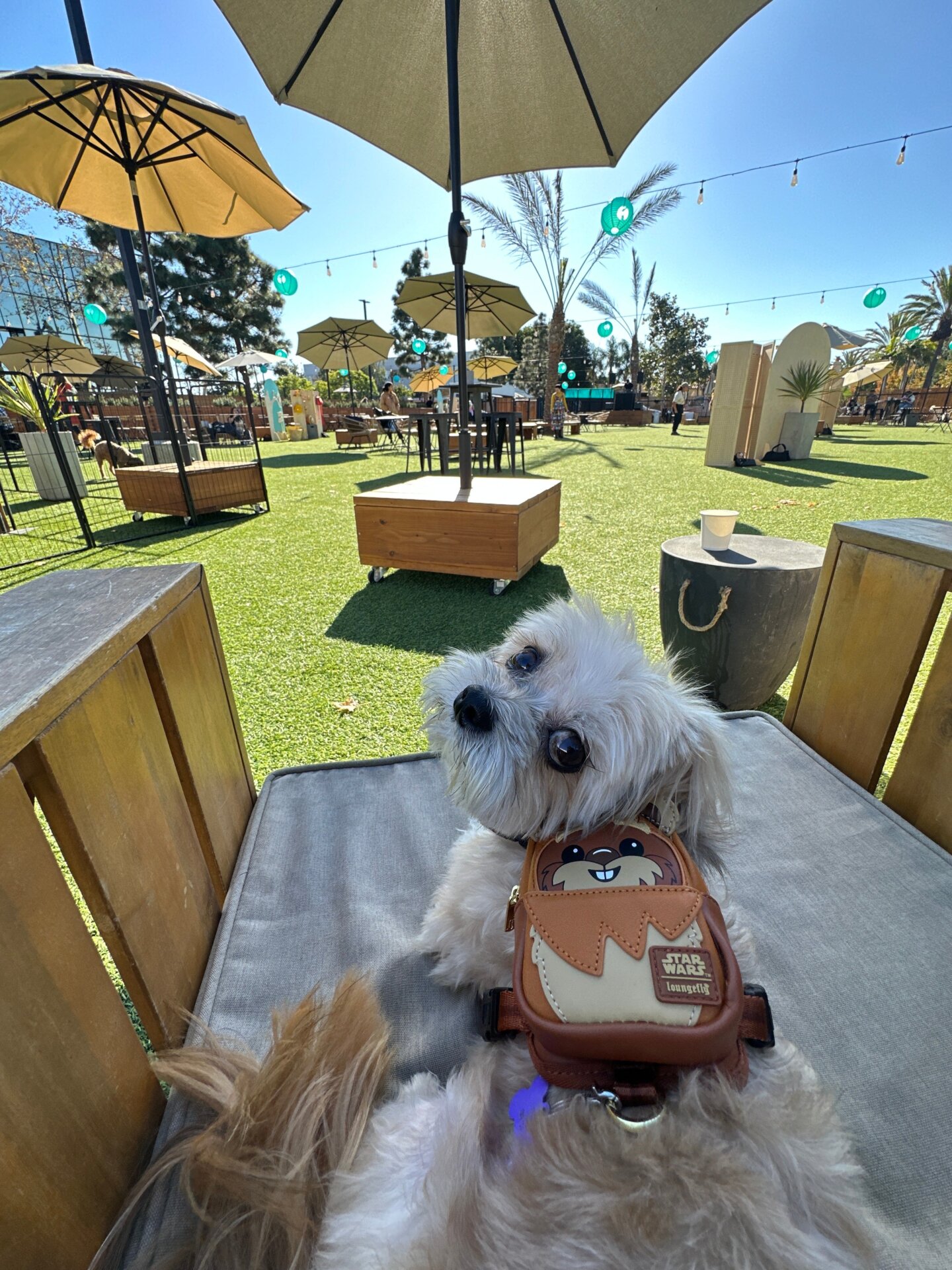 Photo: Sabina Graves/Gizmodo