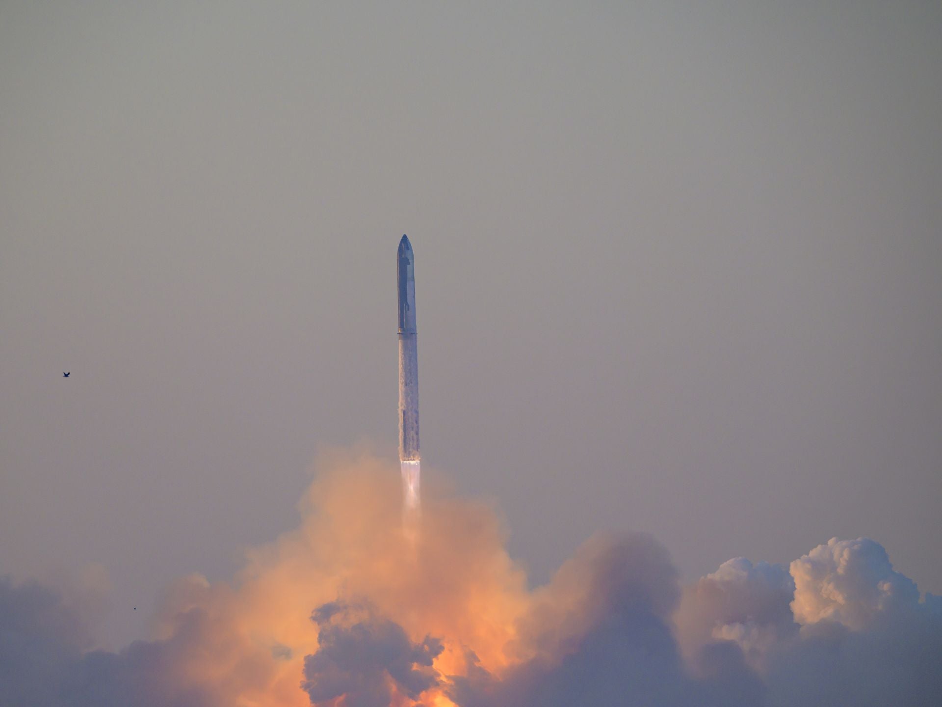 Starship shortly after launch, November 18, 2023.