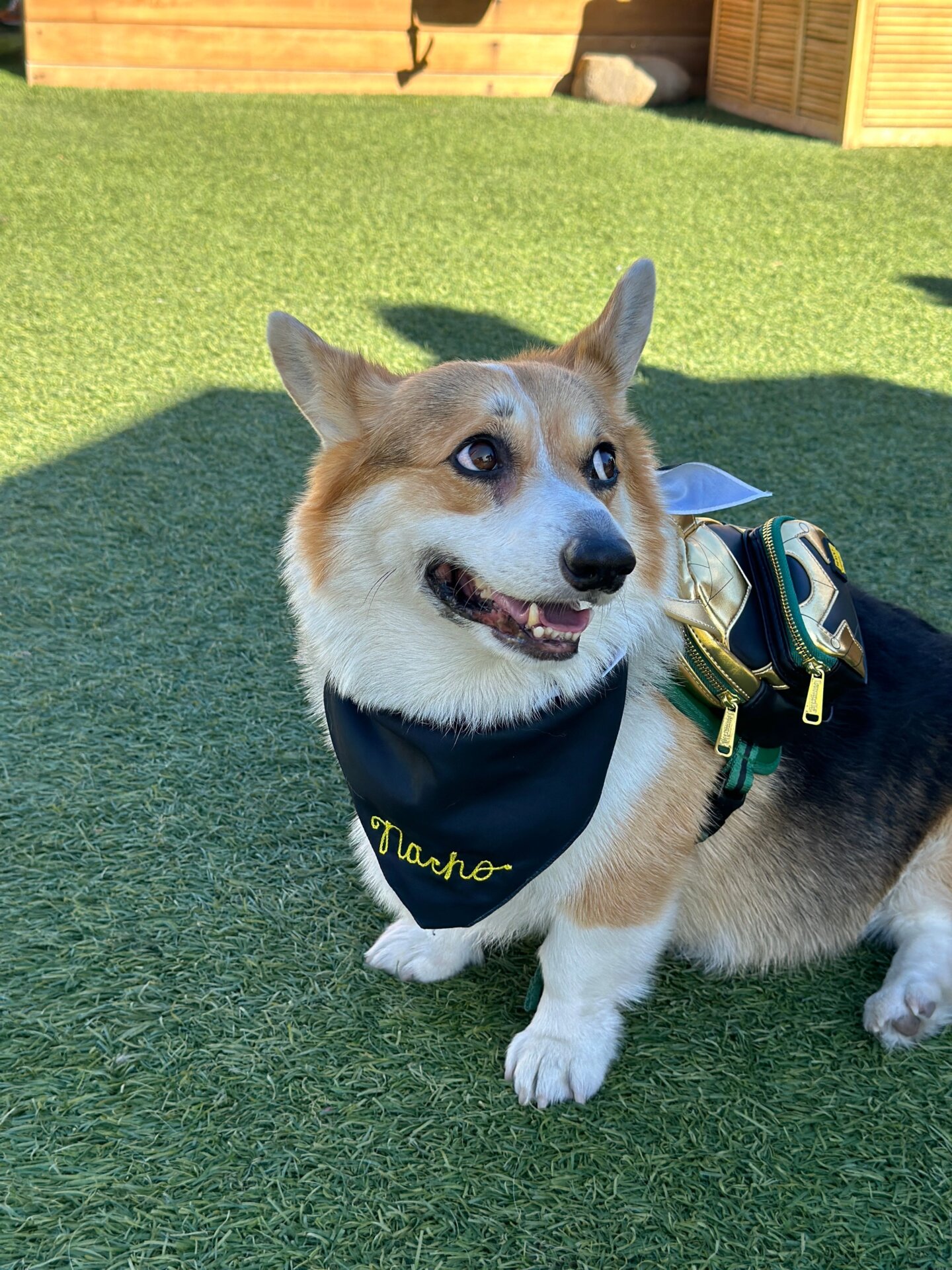 Photo: Sabina Graves/Gizmodo