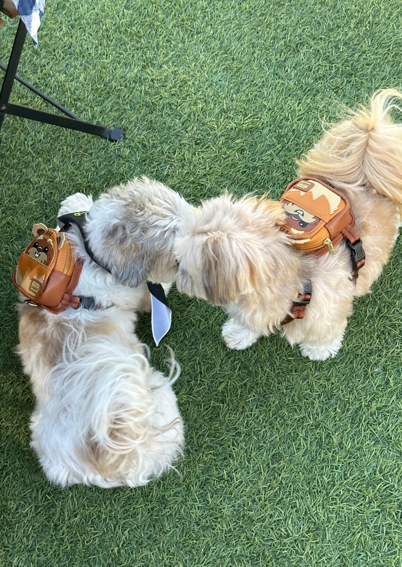 Photo: Sabina Graves/Gizmodo