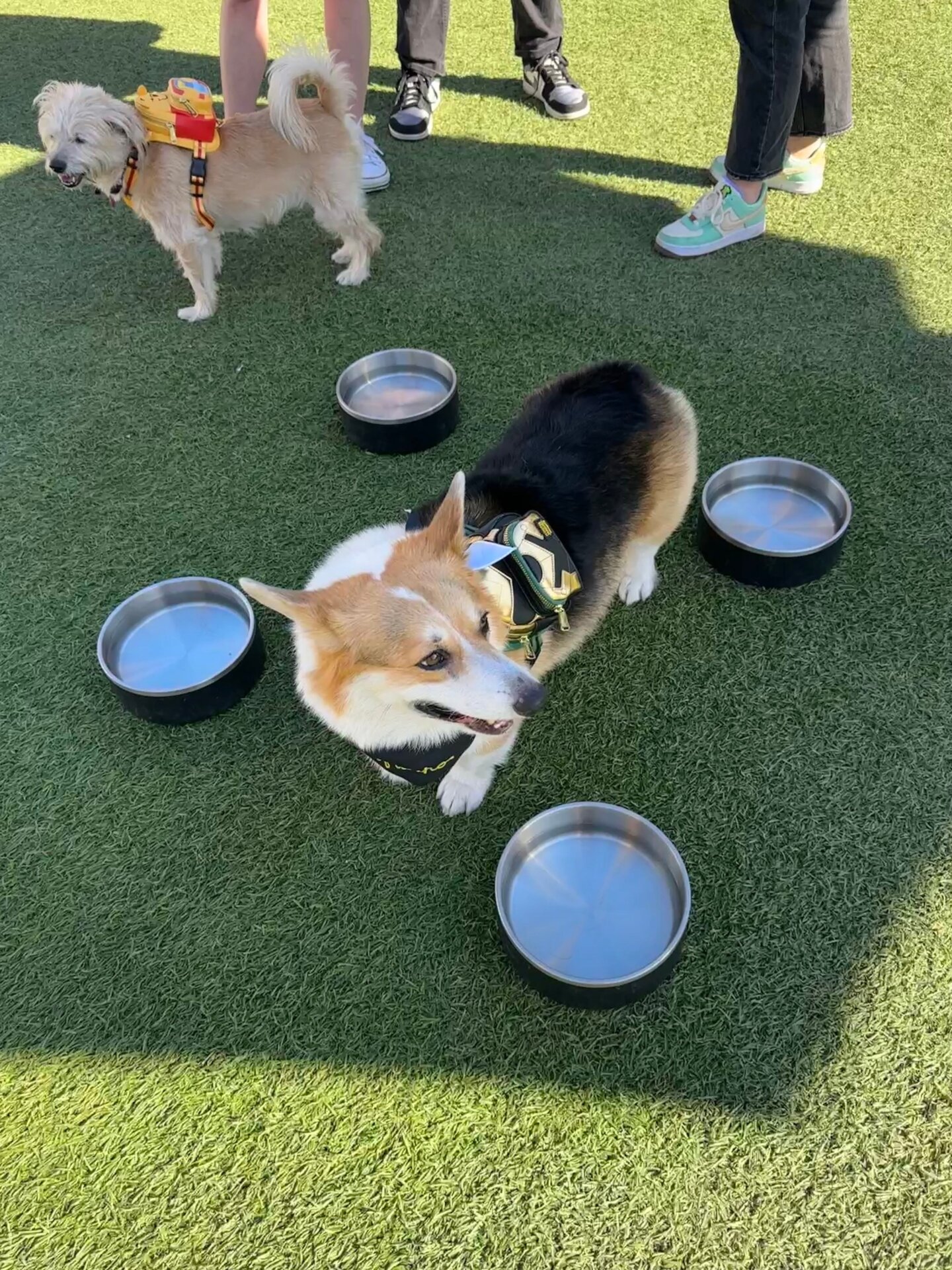 Photo: Sabina Graves/Gizmodo