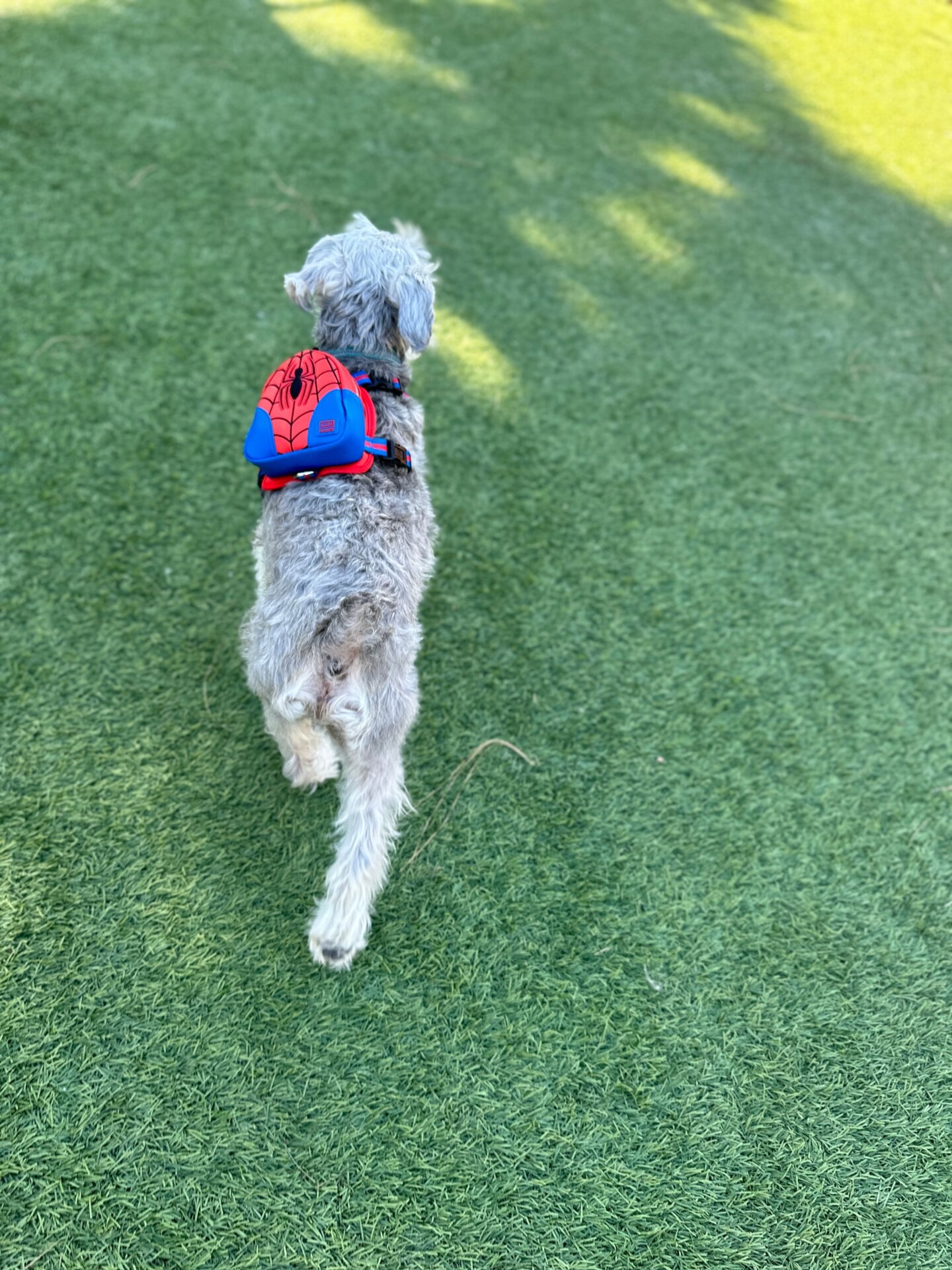 Photo: Sabina Graves/Gizmodo