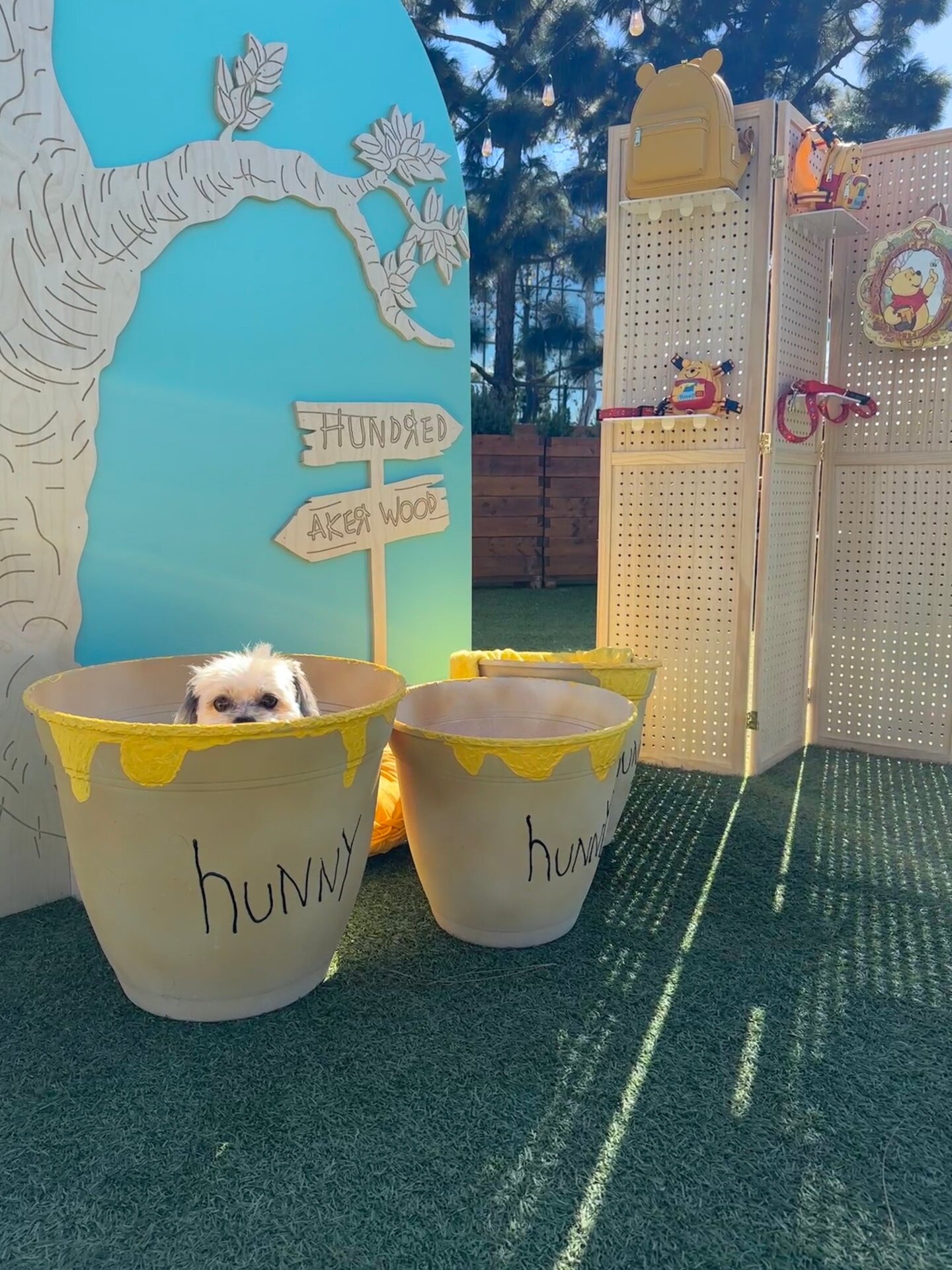 Photo: Sabina Graves/Gizmodo