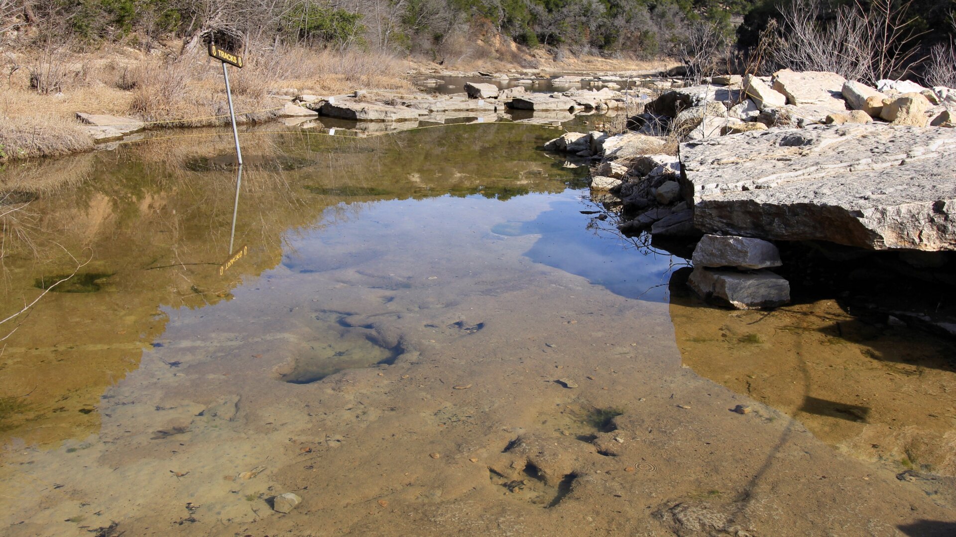 The underwater dinosaur trackways.