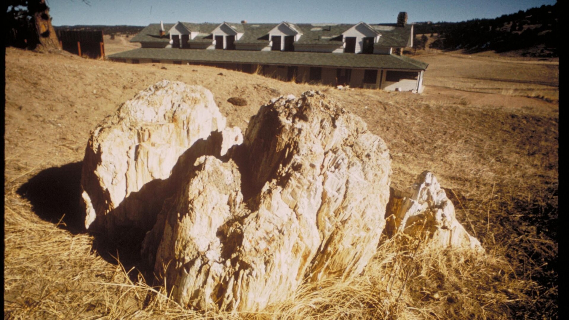 A petrified sequoia stump at the national monument.