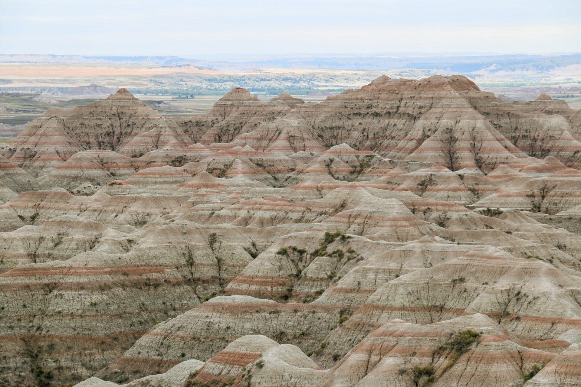 Rock formations in the park.