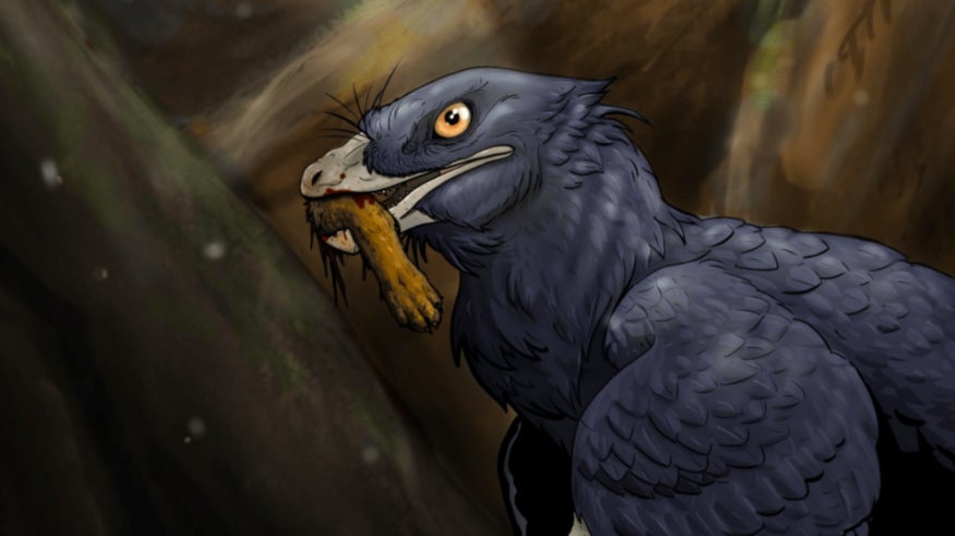 A paleoart illustration of Microraptor eating a mammal’s foot.