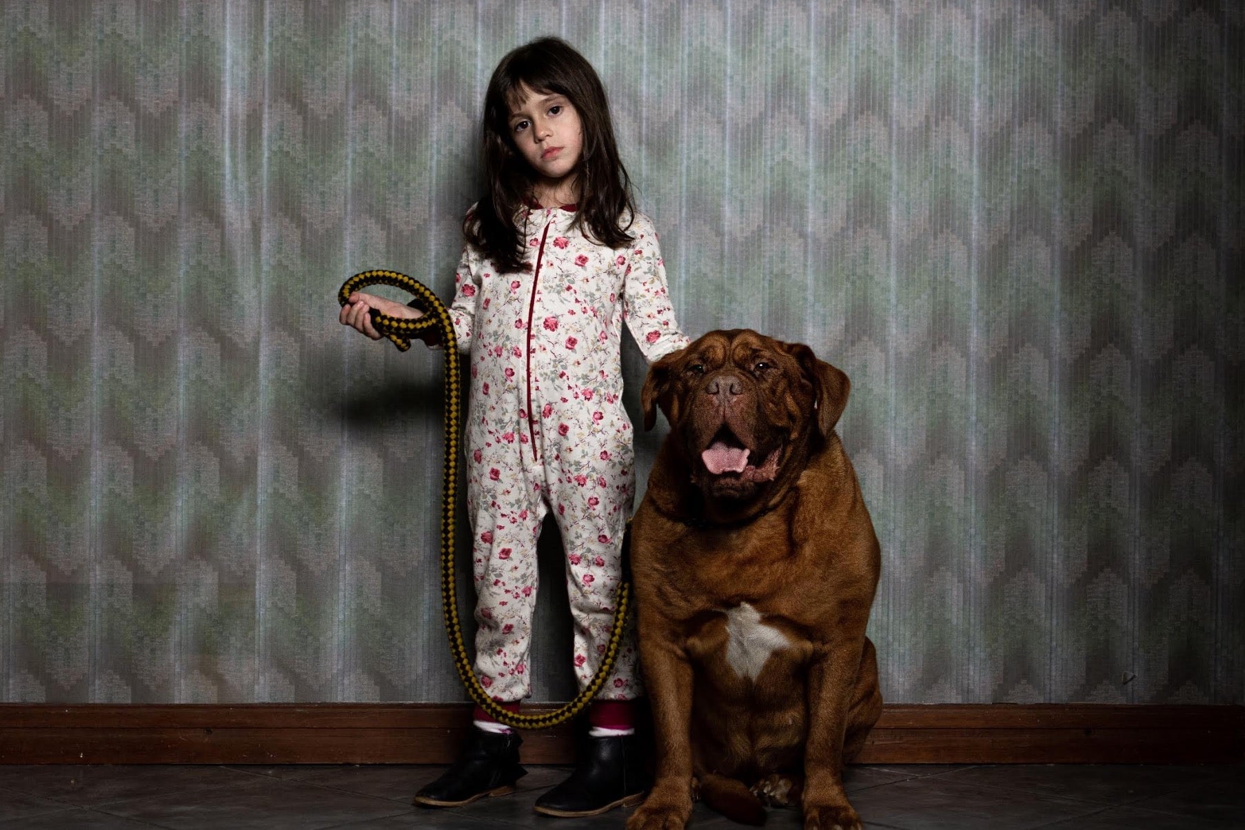 Image: Shudder/IFC