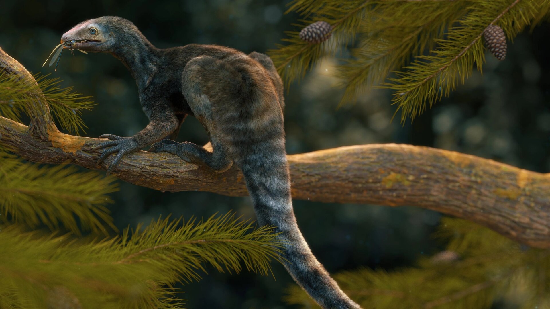 A paleoart reconstruction of Venetoraptor gassenae.