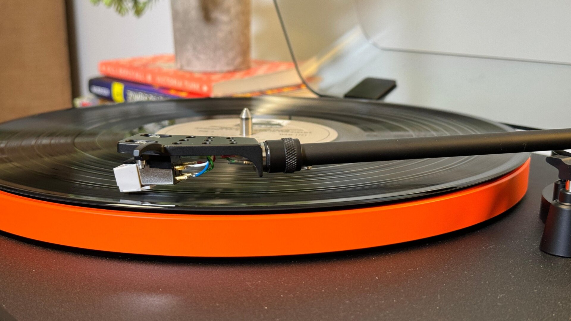 Image: Angel Fajardo / Gizmodo